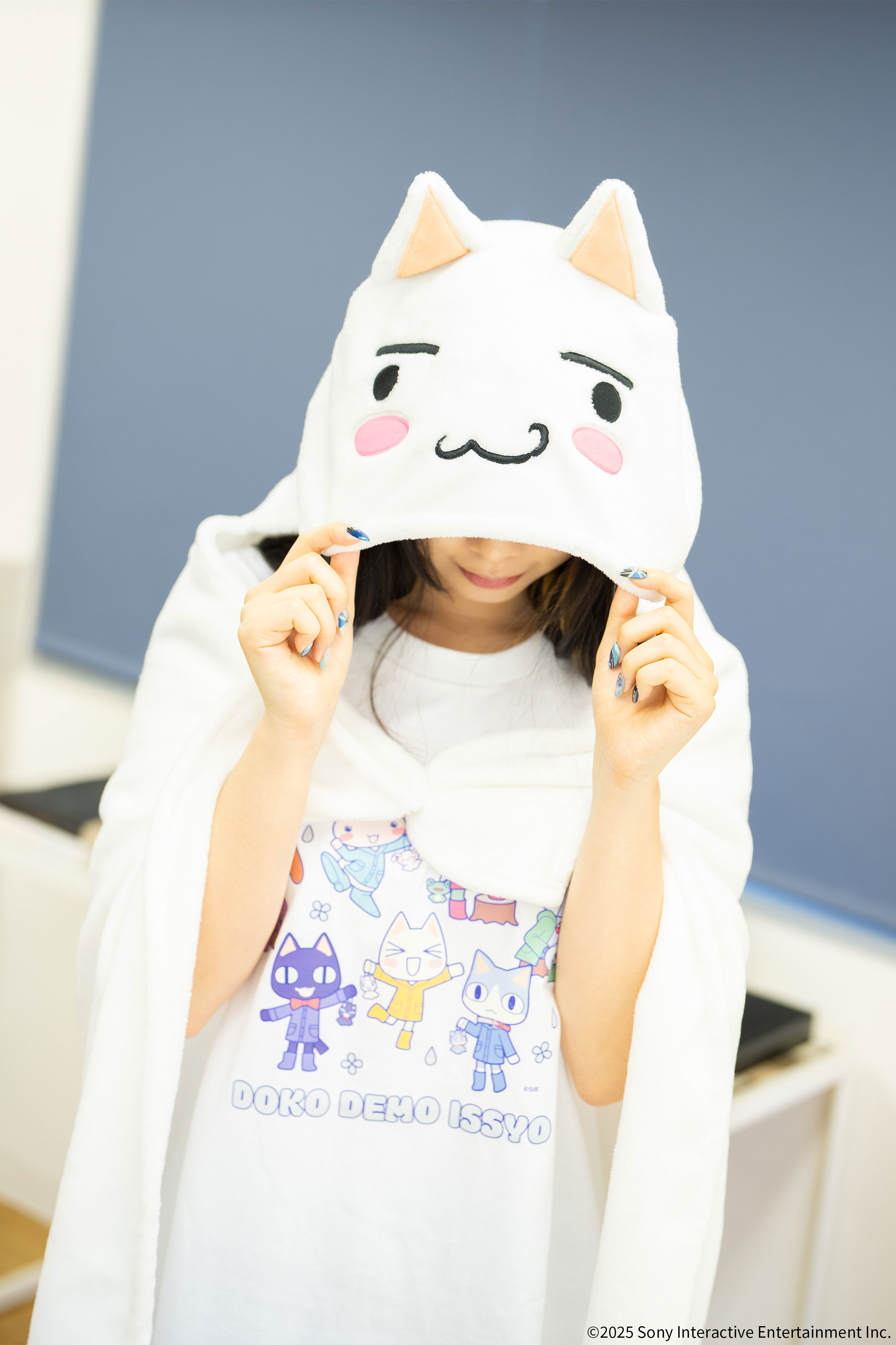 どこでもいっしょトロ ブランケット