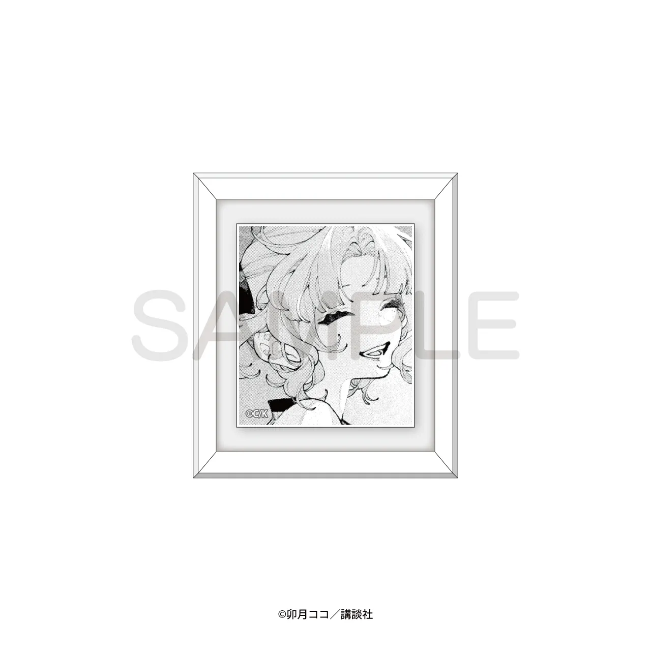 トレーディング額縁入りマグネット 