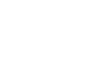 MEGA NIKKE ONLINE
