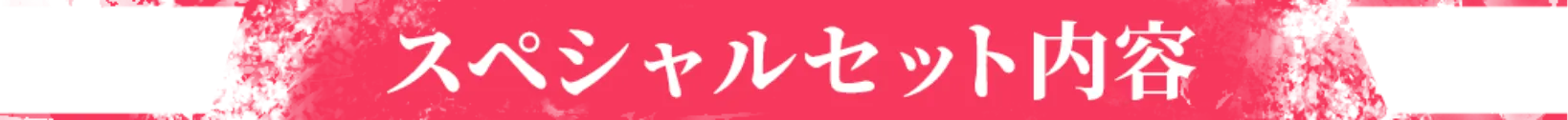 スペシャルセット内容