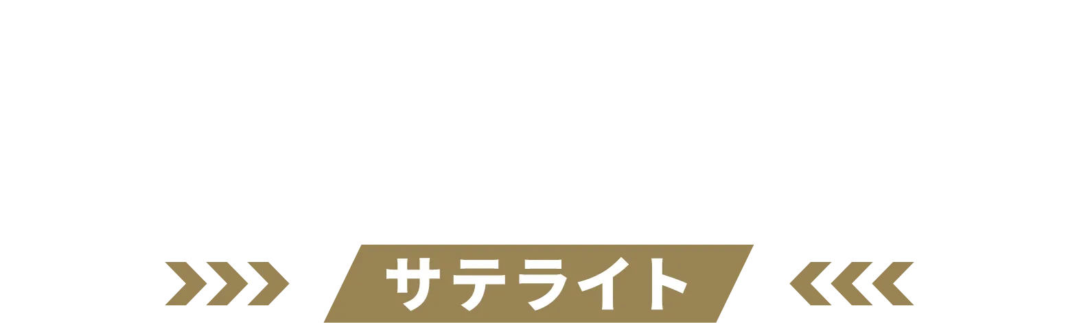MEGA NIKKE STORE:KYOTO サテライト