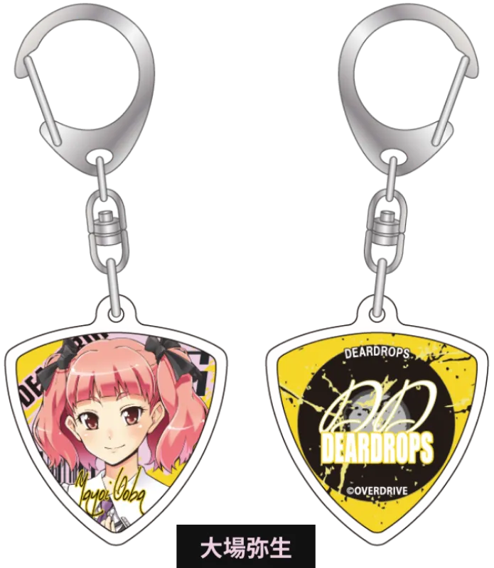 ケース付きピック