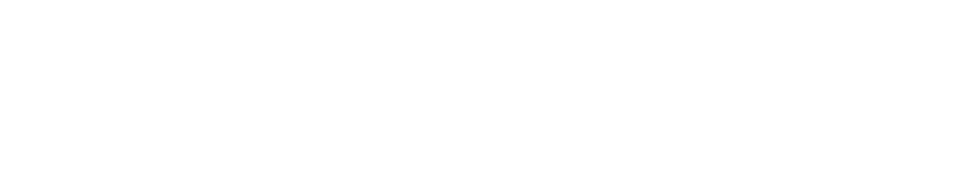 どこでもいっしょ